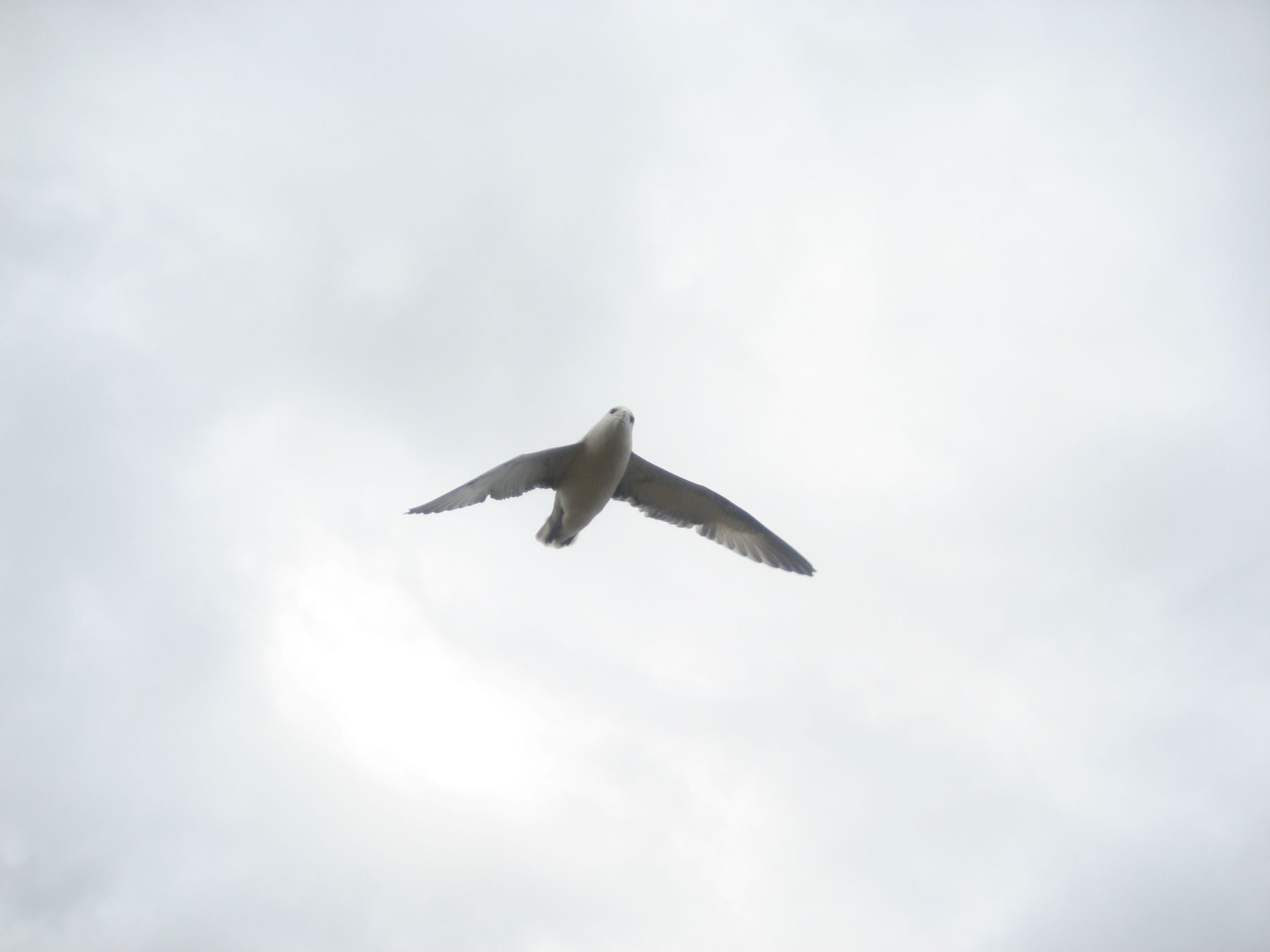 IMG_3696.JPG