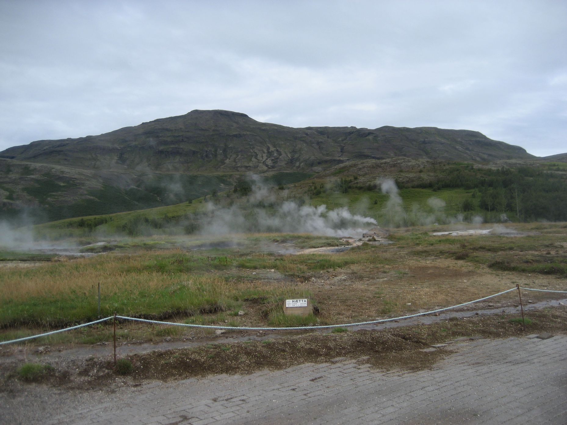 IMG_4166.JPG