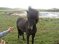 IMG_2949.JPG