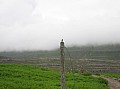 IMG_3683.JPG