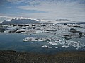 IMG_3778.JPG