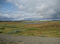 IMG_4296.JPG