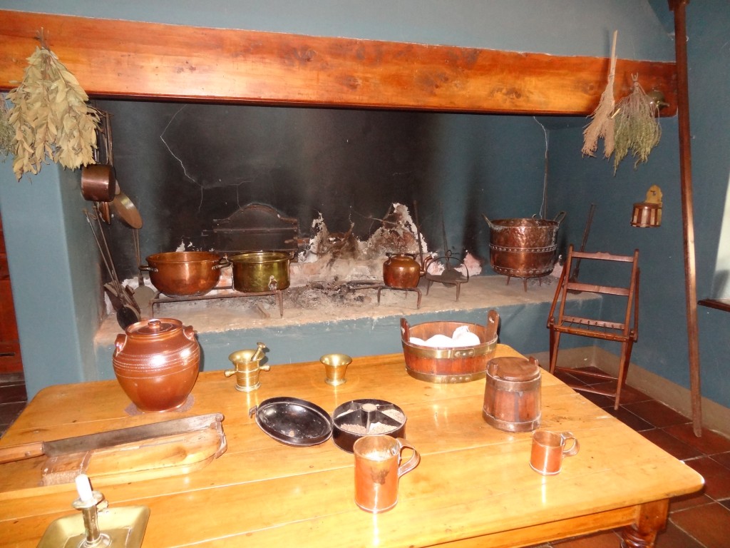 DSC00630.jpg