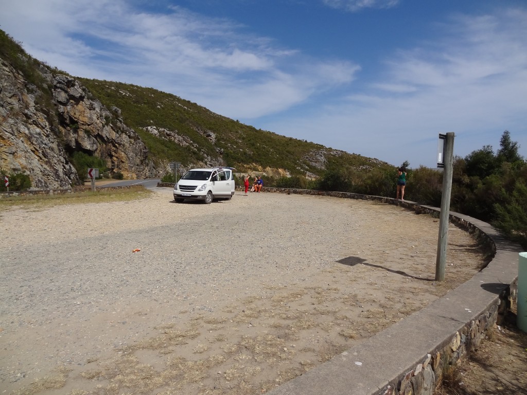 DSC00807.jpg