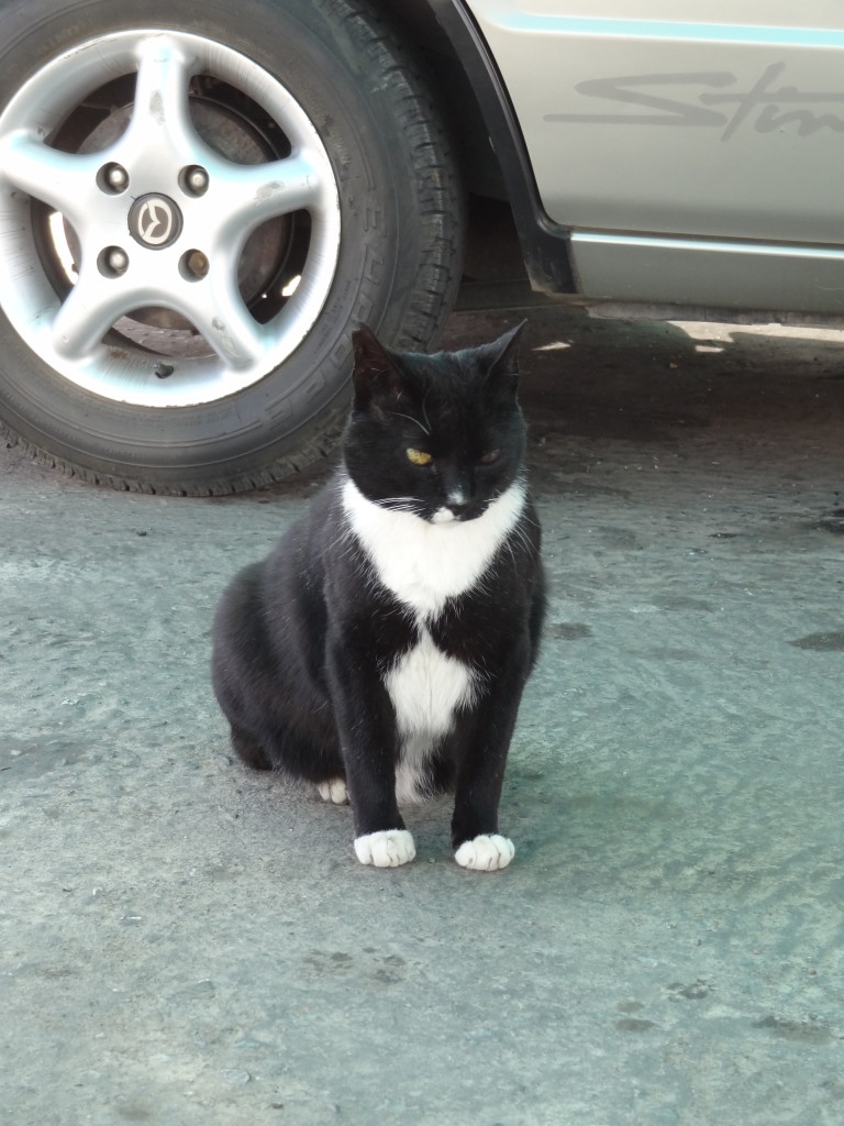 DSC00824.jpg