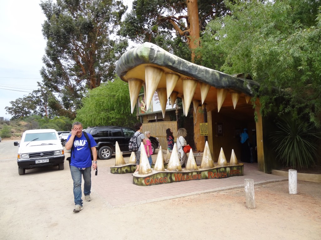 DSC00859.jpg