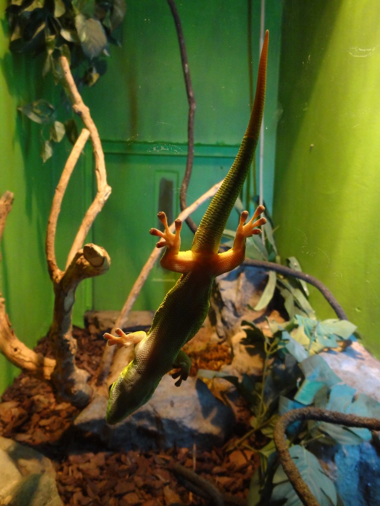 DSC01011.jpg
