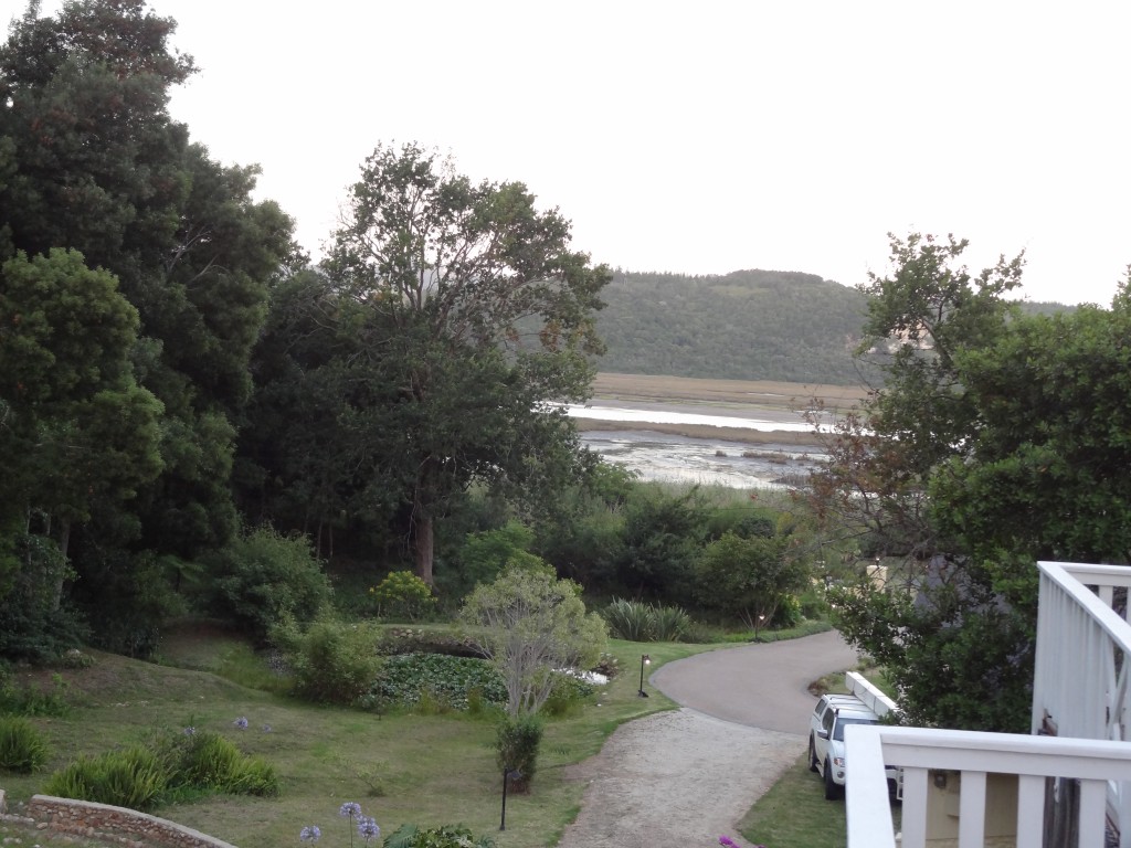 DSC01047.jpg