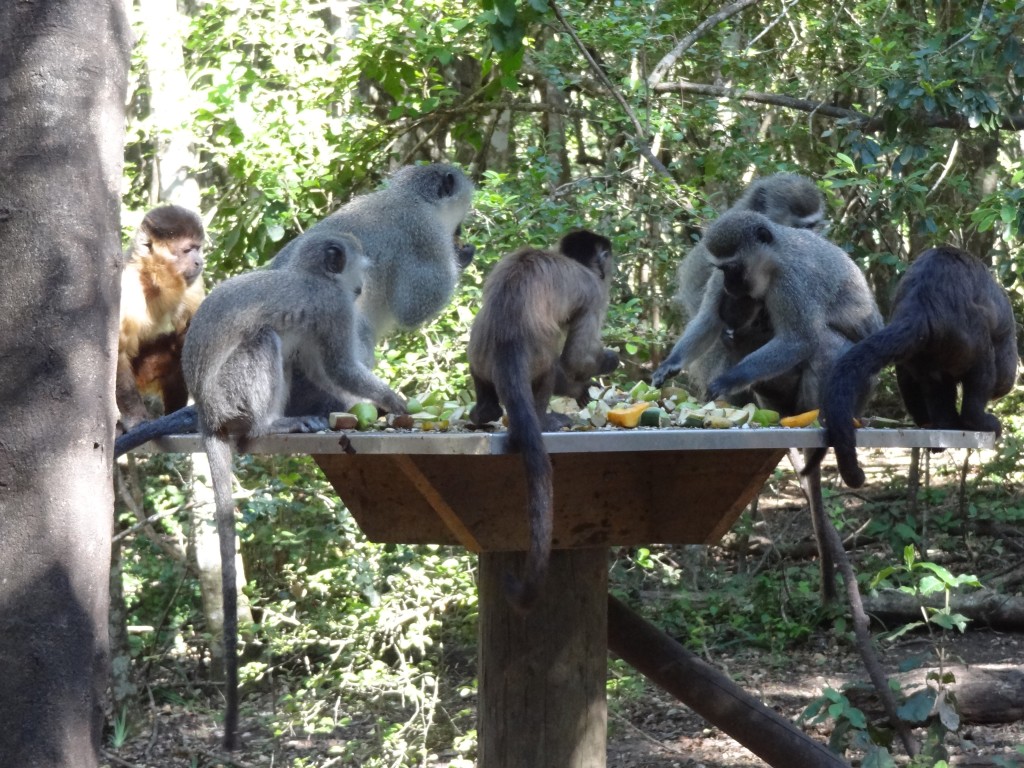 DSC01144.jpg