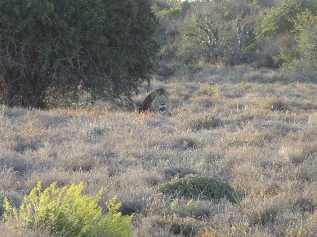 DSC01341.jpg