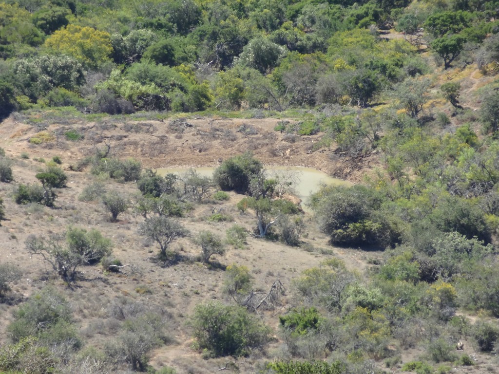 DSC01615.jpg