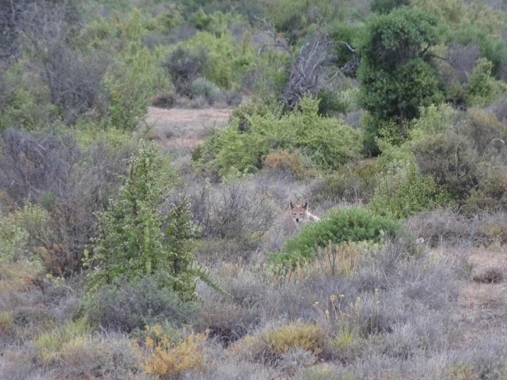 DSC01767.jpg