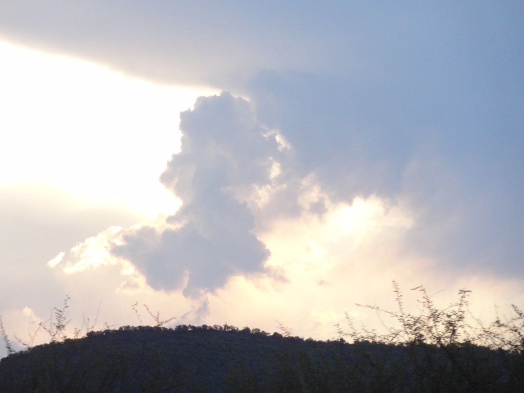 DSC02107.jpg