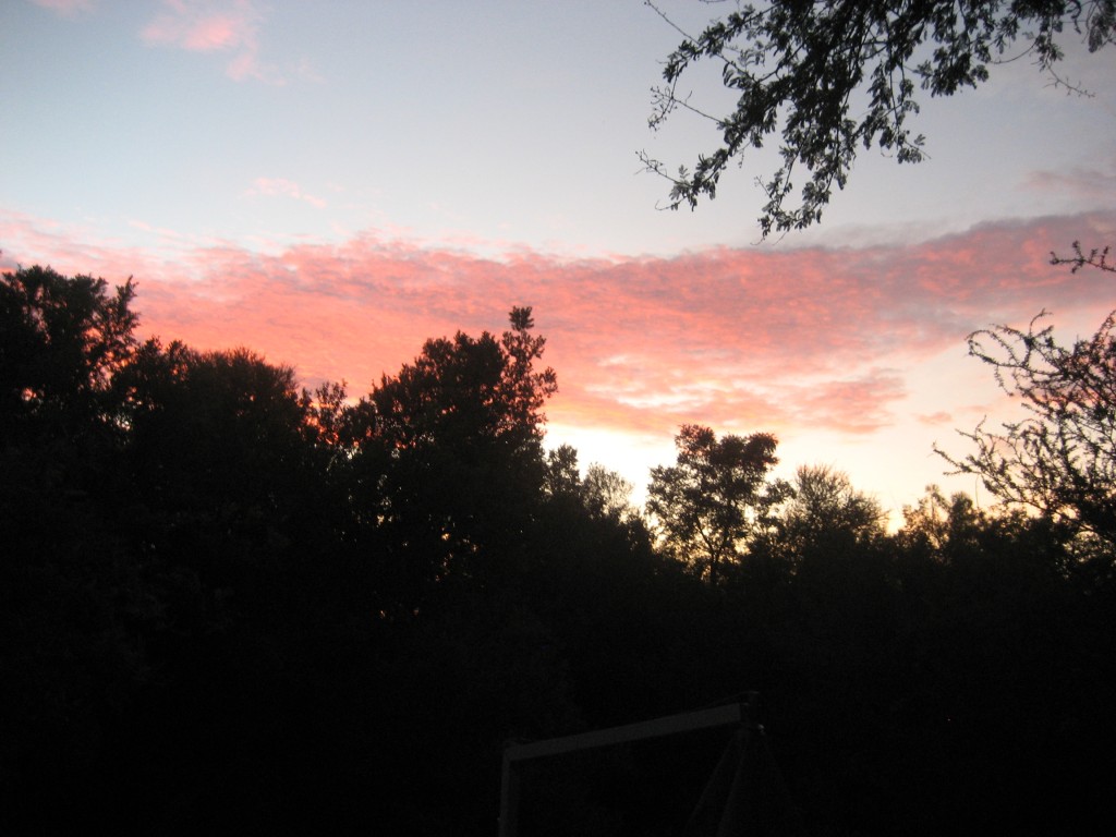 IMG_6655.jpg