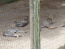 DSC00914.jpg DSC00914.jpg
